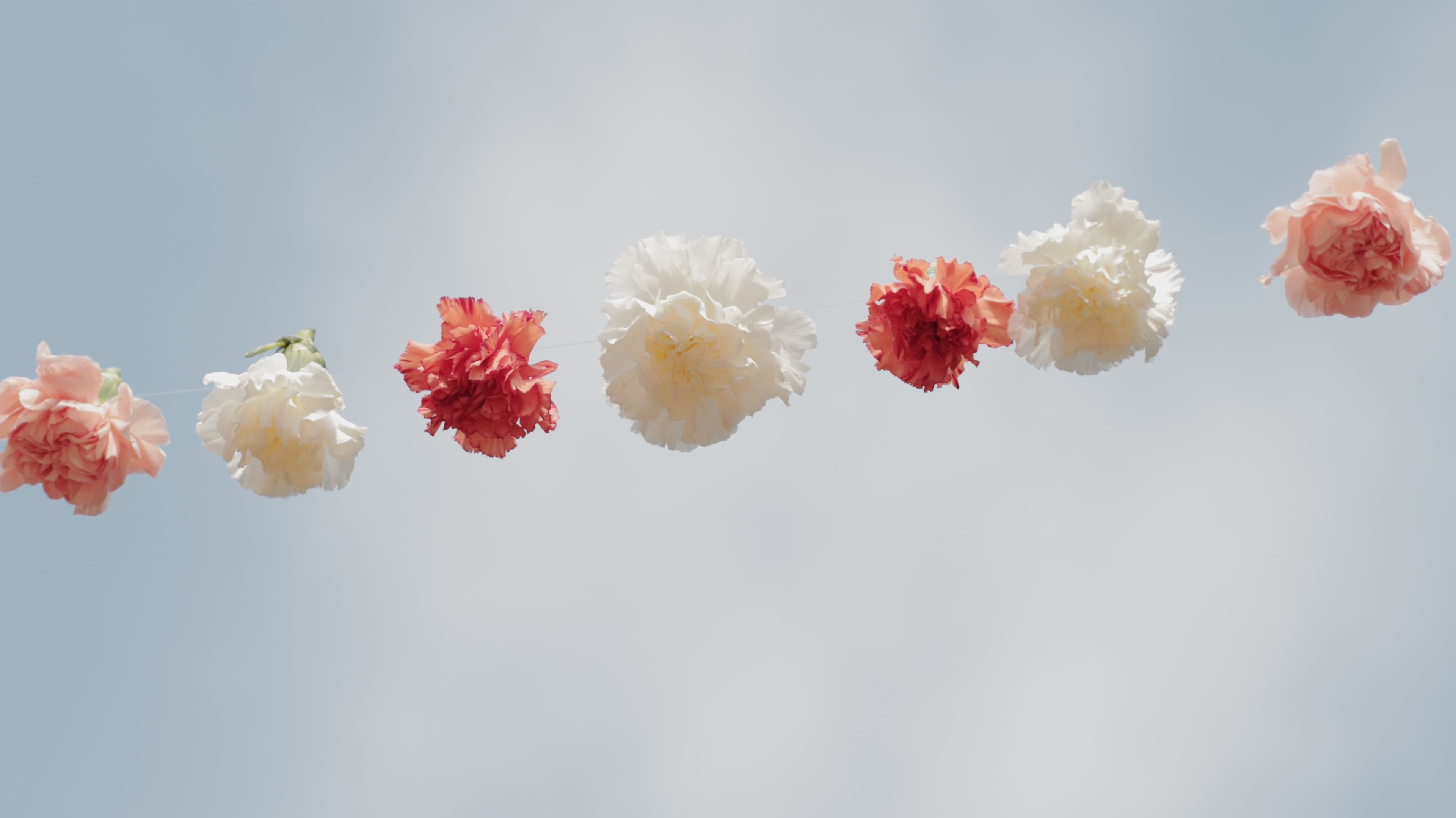 Aniversaris i celebracions privades